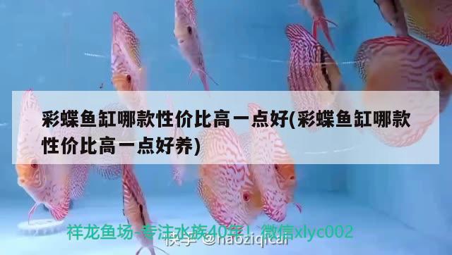 彩蝶魚缸哪款性價(jià)比高一點(diǎn)好(彩蝶魚缸哪款性價(jià)比高一點(diǎn)好養(yǎng))