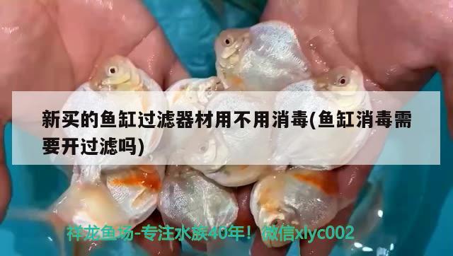 新買的魚缸過濾器材用不用消毒(魚缸消毒需要開過濾嗎)