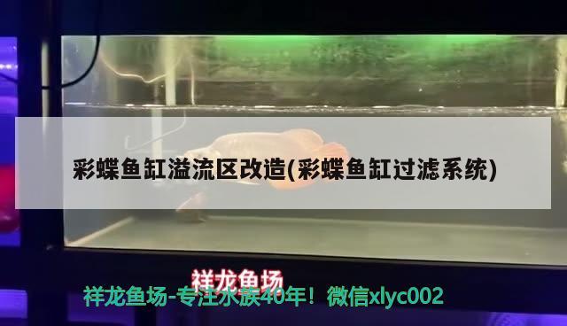 雷龍魚中有一條紅線是什么品種，怎么判斷雷龍魚有沒有內(nèi)寄 養(yǎng)魚的好處 第2張