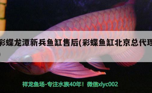 彩蝶龍?zhí)缎卤~(yú)缸售后(彩蝶魚(yú)缸北京總代理)