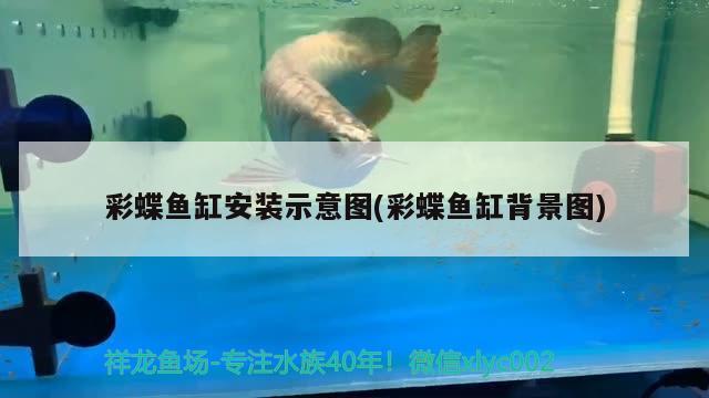 彩蝶魚缸安裝示意圖(彩蝶魚缸背景圖)