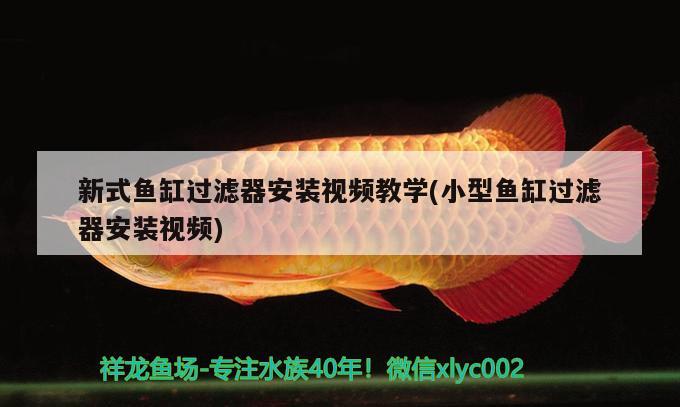 新式魚缸過濾器安裝視頻教學(xué)(小型魚缸過濾器安裝視頻) 古典過背金龍魚