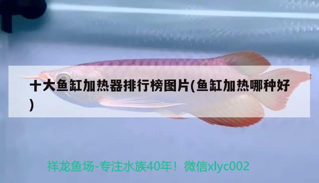 黑武士是什么車，最香的選擇——愛(ài)車途銳黑武士提車記