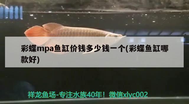 廣州龍魚展會時間 廣州龍魚展會時間安排表