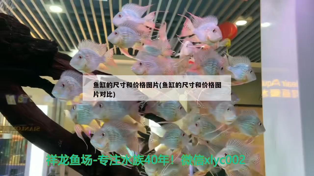 泡沫造景魚缸(魚缸用泡沫板造景)