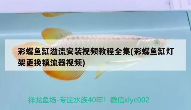 彩蝶魚缸溢流安裝視頻教程全集(彩蝶魚缸燈架更換鎮(zhèn)流器視頻)