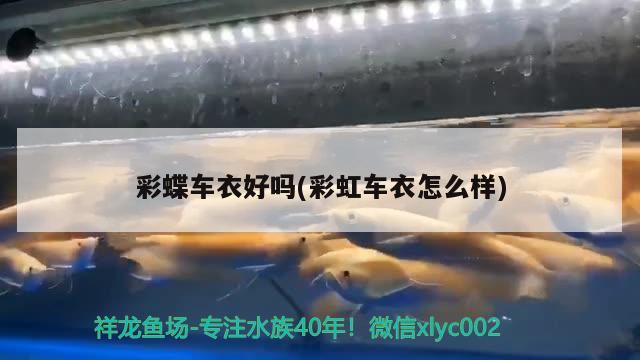 石嘴山水族館這樣的體態(tài)你愛(ài)不愛(ài)