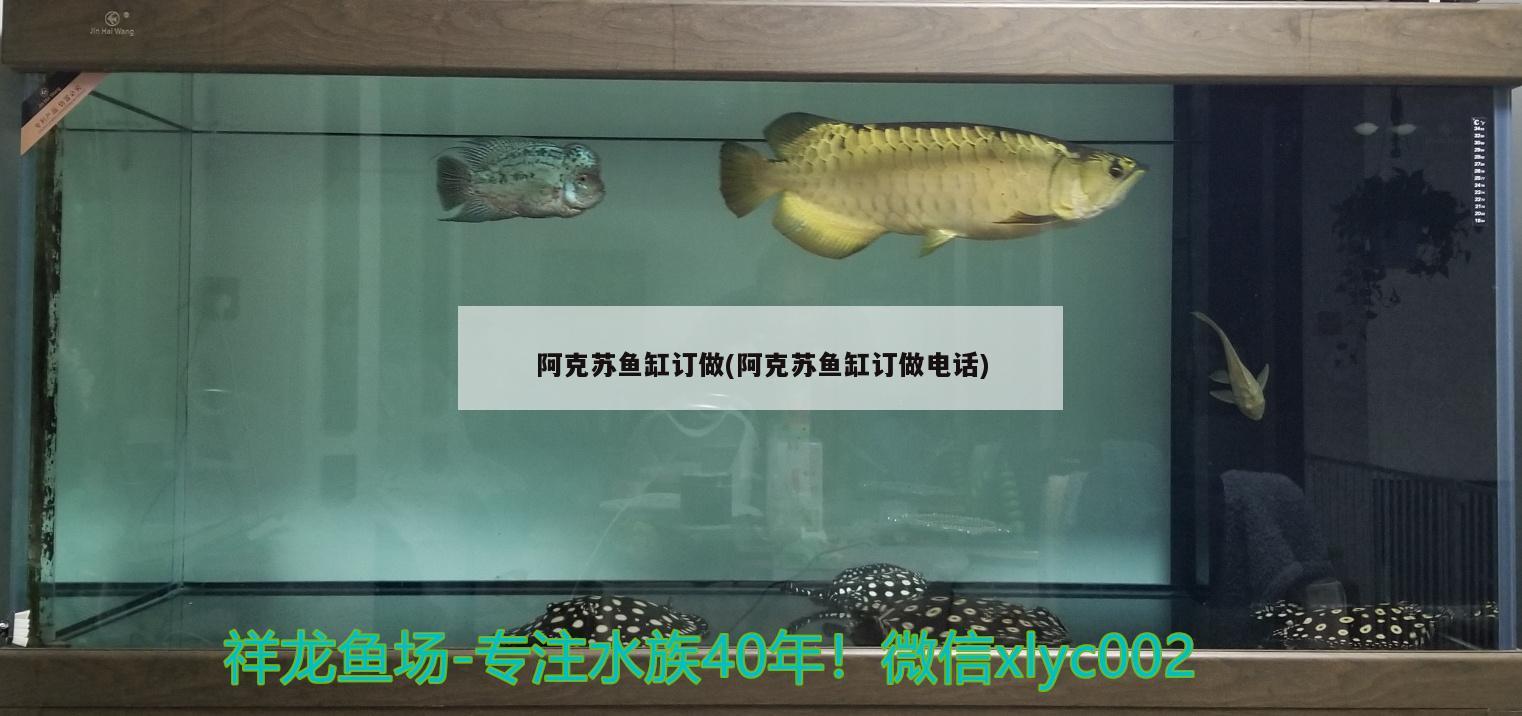 阿克蘇魚缸訂做(阿克蘇魚缸訂做電話)