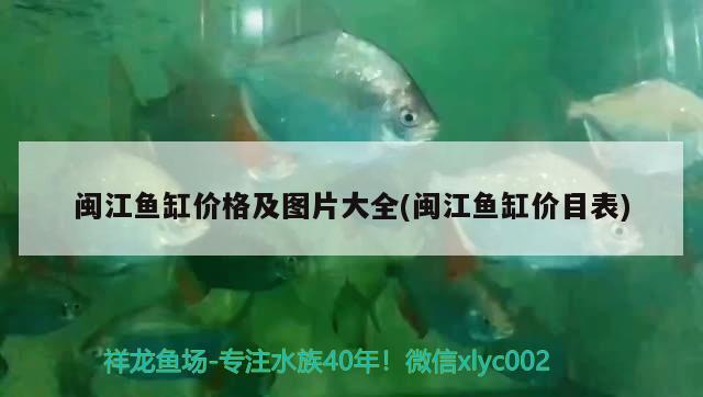 閩江魚缸價格及圖片大全(閩江魚缸價目表) 紅勾銀版魚