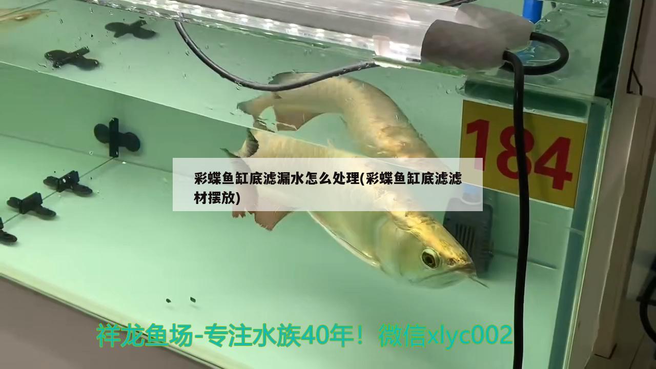 彩蝶魚缸底濾漏水怎么處理(彩蝶魚缸底濾濾材擺放)