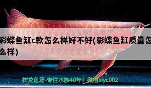 大家都撤加熱棒了嗎？ 古典過(guò)背金龍魚(yú) 第2張