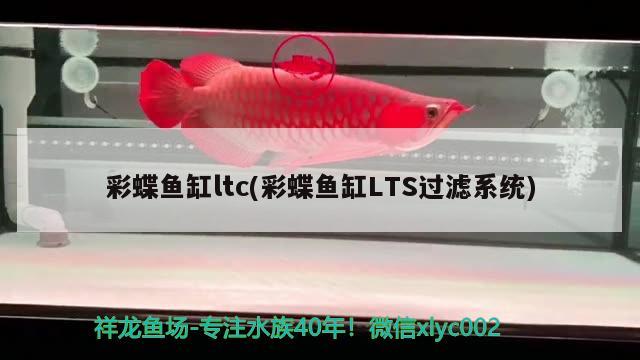 林芝水族館關(guān)于過(guò)濾 泰國(guó)虎魚(yú) 第1張