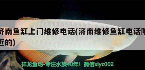 濟南魚缸上門維修電話(濟南維修魚缸電話附近的) 照明器材