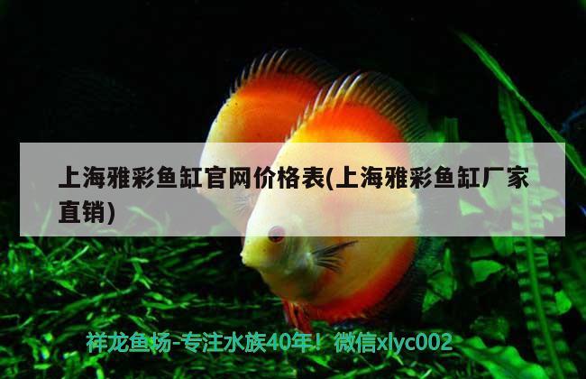 上海雅彩魚缸官網(wǎng)價格表(上海雅彩魚缸廠家直銷) 黑影道人魚