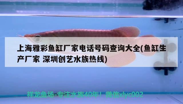 上海雅彩魚缸廠家電話號碼查詢大全(魚缸生產(chǎn)廠家深圳創(chuàng)藝水族熱線)