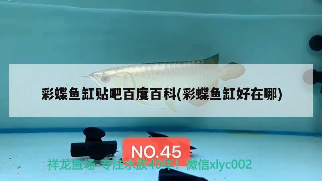 彩蝶魚缸貼吧百度百科(彩蝶魚缸好在哪) 白條過背金龍魚