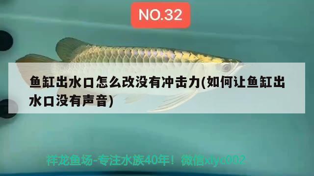 魚缸出水口怎么改沒有沖擊力(如何讓魚缸出水口沒有聲音) 祥龍藍(lán)珀金龍魚