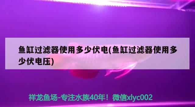 魚缸過濾器使用多少伏電(魚缸過濾器使用多少伏電壓) 月光鴨嘴魚苗