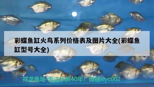 一個(gè)月不在家魚會(huì)餓死嗎，家里沒(méi)人魚缸里的魚怎么辦