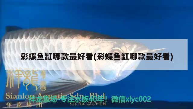 彩蝶魚缸哪款最好看(彩蝶魚缸哪款最好看) 紅勾銀版魚