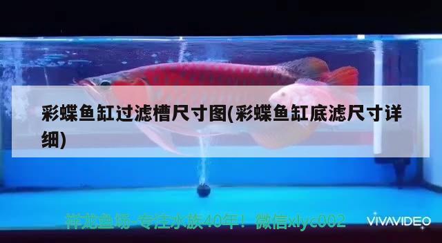 彩蝶魚缸過濾槽尺寸圖(彩蝶魚缸底濾尺寸詳細(xì))