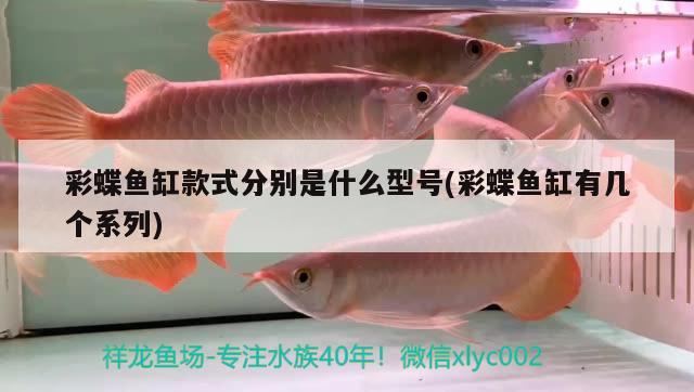 彩蝶魚(yú)缸款式分別是什么型號(hào)(彩蝶魚(yú)缸有幾個(gè)系列)