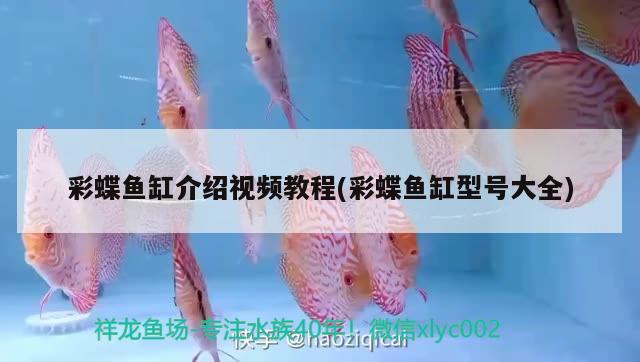 彩蝶魚缸介紹視頻教程(彩蝶魚缸型號(hào)大全)