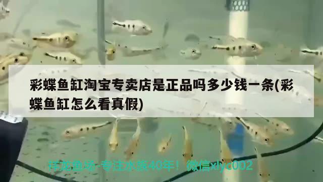 彩蝶魚缸安裝示意圖片(彩蝶魚缸怎么放水)