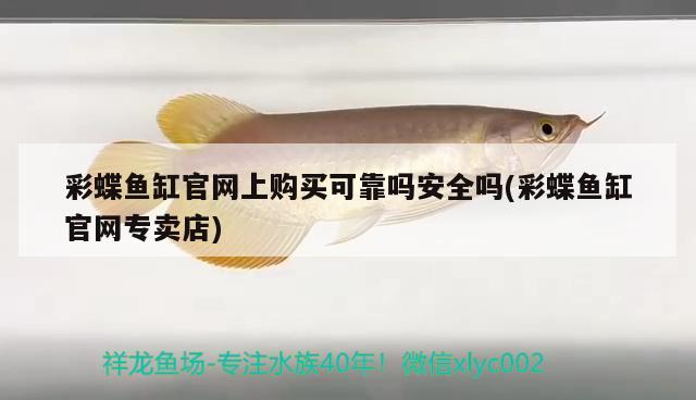 彩蝶魚(yú)缸官網(wǎng)上購(gòu)買(mǎi)可靠嗎安全嗎(彩蝶魚(yú)缸官網(wǎng)專(zhuān)賣(mài)店)