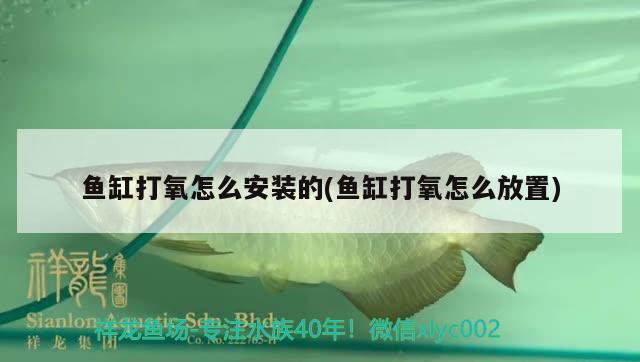 鄭州魚(yú)缸批發(fā)廠家直銷（鄭州魚(yú)缸批發(fā)廠家直銷電話）