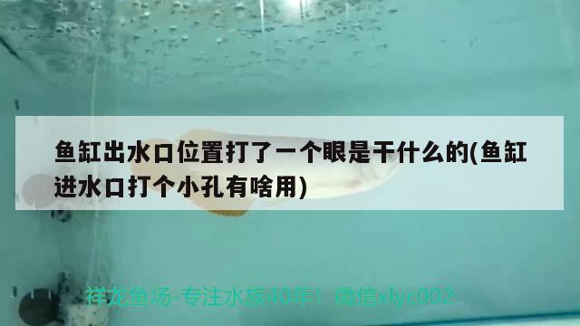 魚缸出水口位置打了一個眼是干什么的(魚缸進水口打個小孔有啥用)