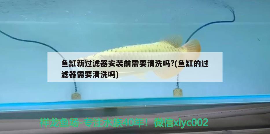 墻面魚缸設(shè)計：墻面魚缸設(shè)計效果圖