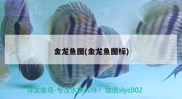 開工啦商情圈 白子關刀魚苗 第2張