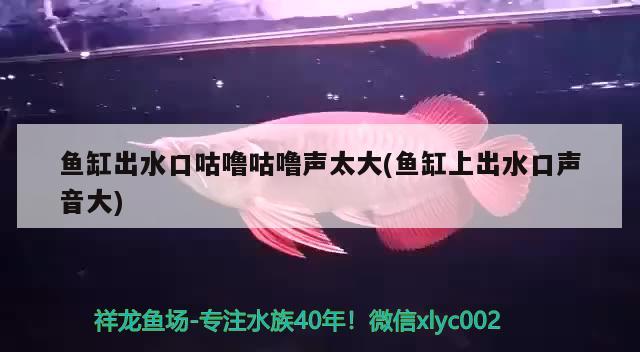 魚缸出水口咕嚕咕嚕聲太大(魚缸上出水口聲音大) 充氧泵