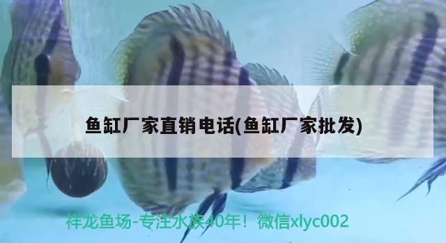 墻面魚缸設(shè)計(jì)：墻面魚缸設(shè)計(jì)效果圖