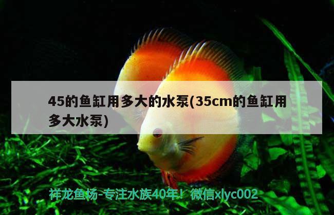 45的魚缸用多大的水泵(35cm的魚缸用多大水泵)