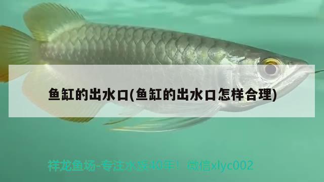 魚缸的出水口(魚缸的出水口怎樣合理) 沖氧泵 第2張