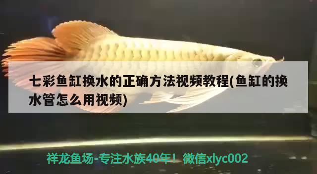 七彩魚缸換水的正確方法視頻教程(魚缸的換水管怎么用視頻) 魚缸水泵