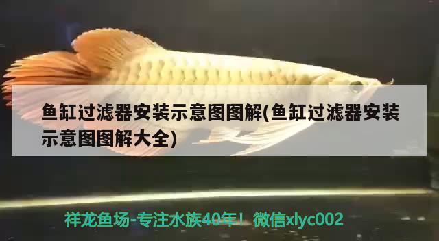 魚(yú)缸加熱器顯示離水?dāng)嚯娛裁匆馑剪~(yú)缸加熱器顯示離水?dāng)嚯姷脑?，魚(yú)缸加熱器顯示離水?dāng)嚯娛裁匆馑? title=