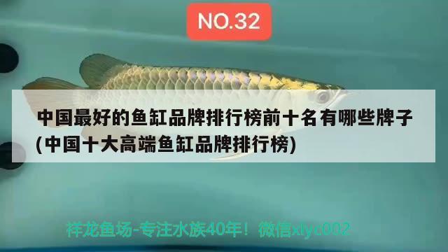 魚缸牌子大全排名圖片(魚缸品牌十大排名榜)