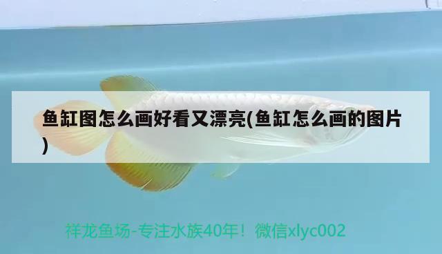 德國(guó)德克魚(yú)缸安裝視頻（實(shí)木歐式魚(yú)缸價(jià)格貴嗎） 泰國(guó)虎魚(yú)（泰虎） 第2張