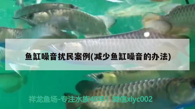 小龍剛入缸有點沉頭掉尾