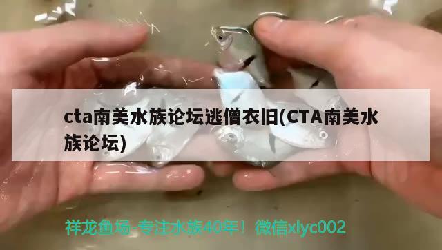 cta南美水族論壇逃僧衣舊(CTA南美水族論壇) 觀賞魚飼料