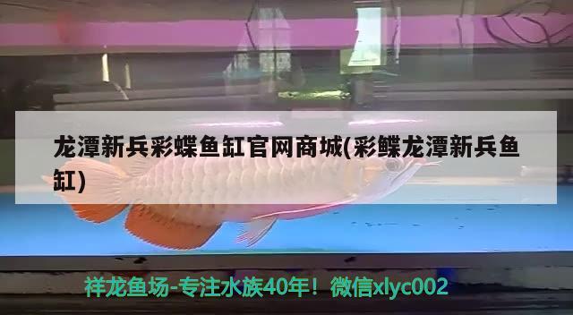 大同二手魚缸出售最新信息大全電話（大同二手魚缸出售最新信息大全電話號碼） 觀賞魚 第3張