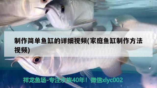 制作簡(jiǎn)單魚(yú)缸的詳細(xì)視頻(家庭魚(yú)缸制作方法視頻)