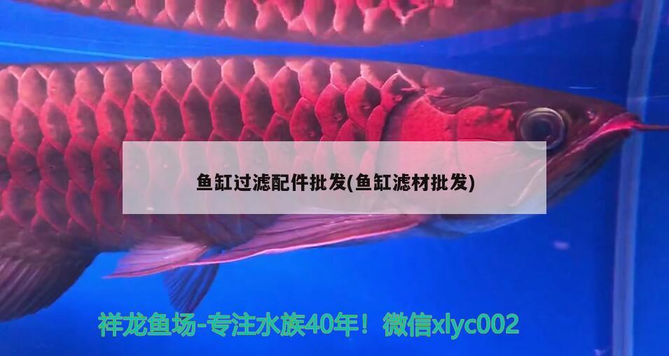 魚缸過濾配件批發(fā)(魚缸濾材批發(fā)) 肥料