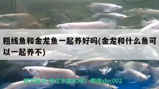 大同二手魚缸出售最新信息大全電話（大同二手魚缸出售最新信息大全電話號碼）