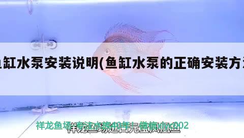 魚缸水泵安裝說明(魚缸水泵的正確安裝方法) 魚缸水泵