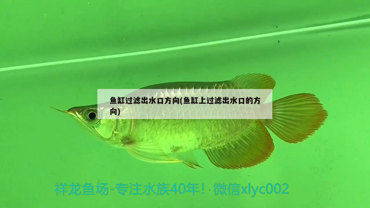 魚缸過濾出水口方向(魚缸上過濾出水口的方向)