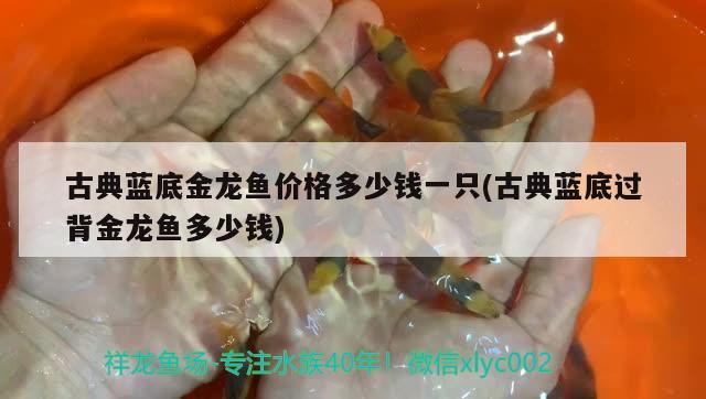 魚缸過濾器哪種品牌的好，魚缸濾棉品牌十大排名魚缸品牌十大排名魚缸品牌十大排名 潛水泵 第1張